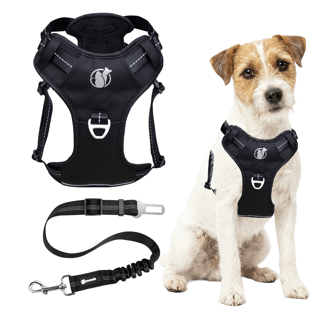 PawSafe Steady+Style No-Pull Harness + Seatbelt Bundle
