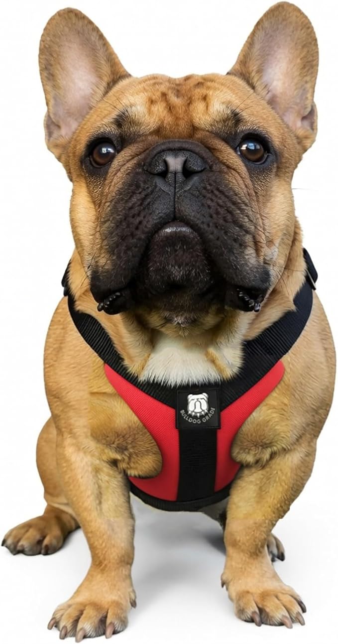 Bulldog Grade No Pull Harness