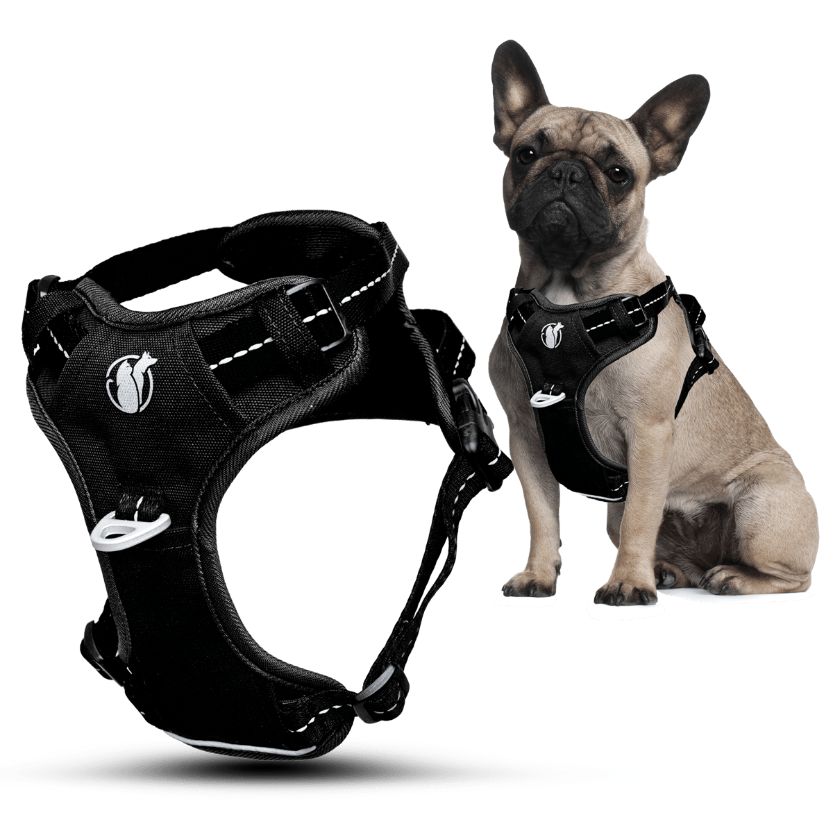PawSafe Steady+Style No-Pull Harness on a French Bulldog