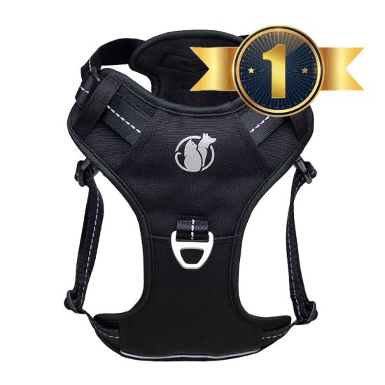 PawSafe Steady+Style No-Pull Harness