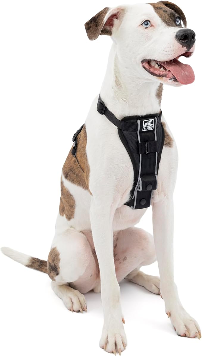 Kurgo Tru-Fit Smart Harness