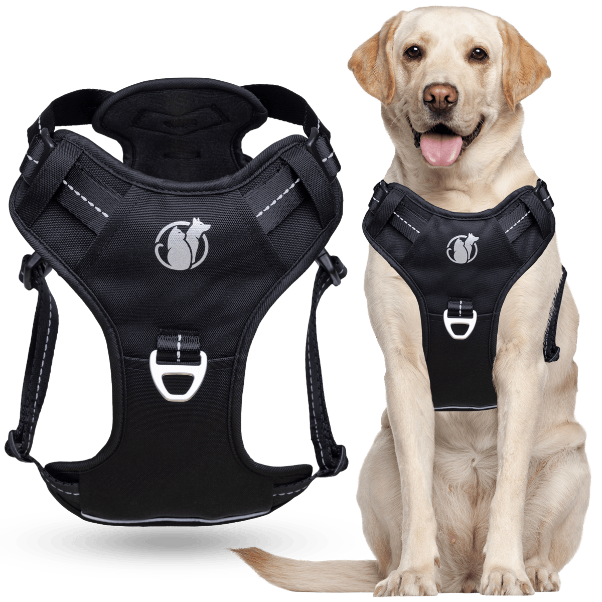 PawSafe No-Pull Harness on a Labrador
