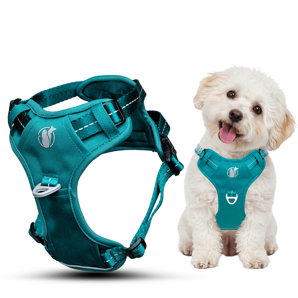 PawSafe No-Pull Harness on a Puppy