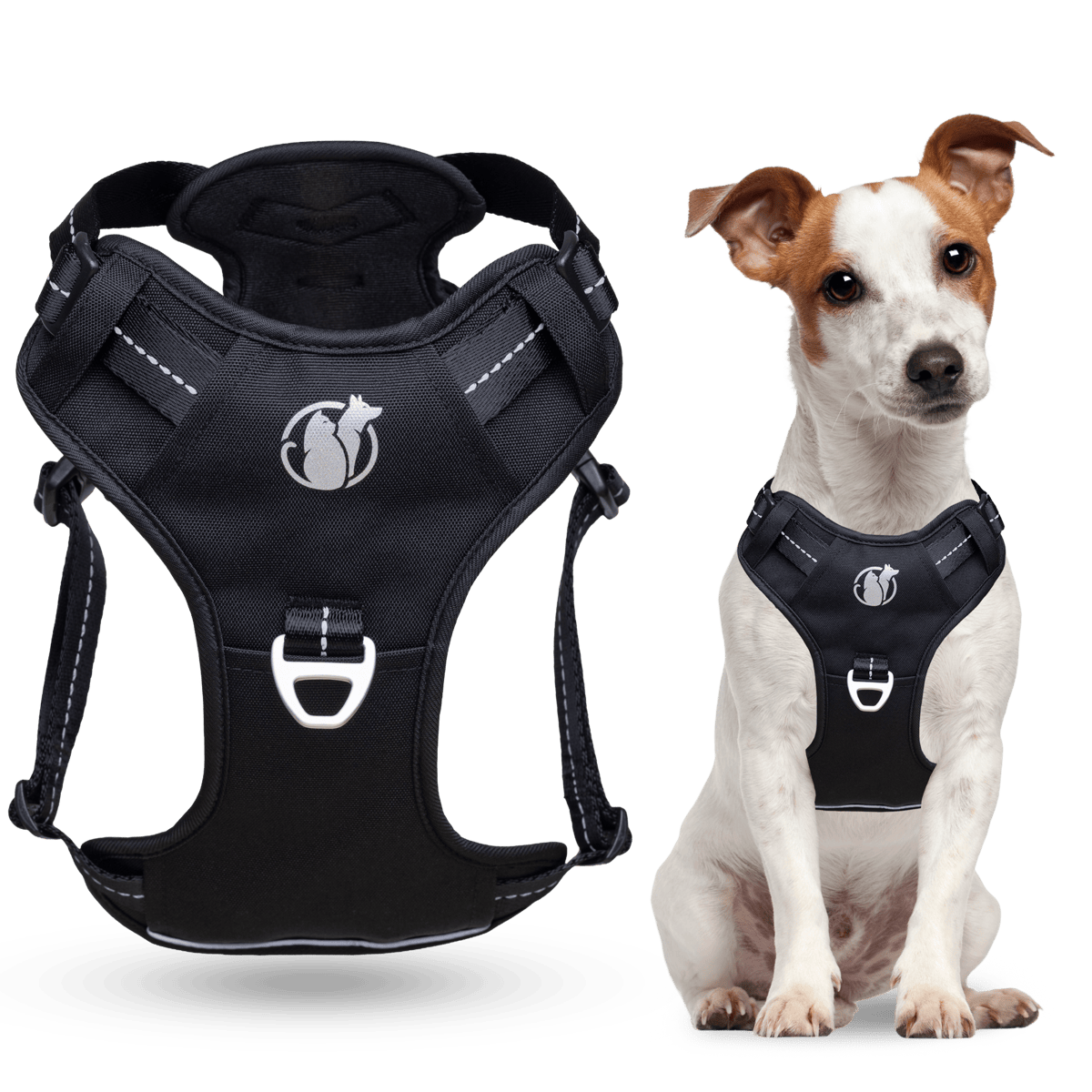 PawSafe No-Pull Harness on a Small Dog