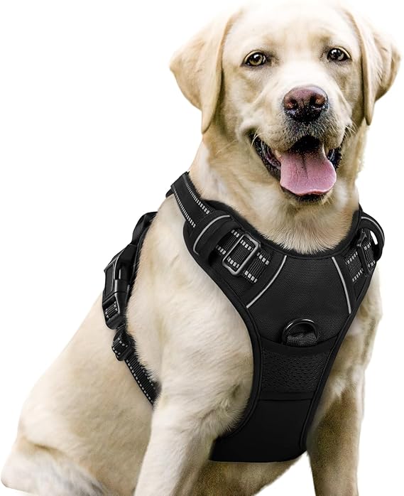 rabbitgoo Front and Back Clip No-Pull Dog Harness