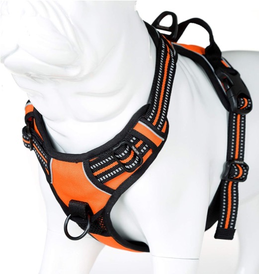 Truelove Front Range No-Pull Dog Harness