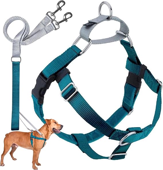 2 Hounds Design Freedom No-Pull Dog Harness