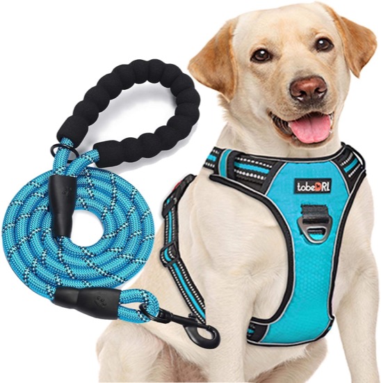 tobeDRI No-Pull Dog Harness with Leash