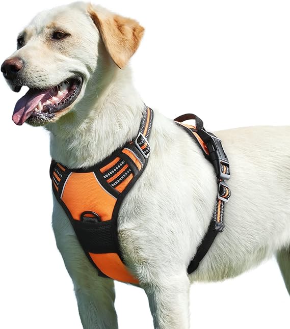 Eagloo No-Pull Harness for Large Dogs