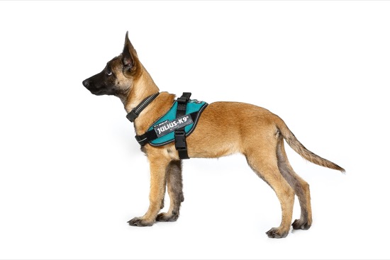IDC Powerharness