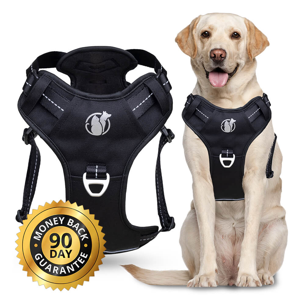 90-day satisfaction guarantee